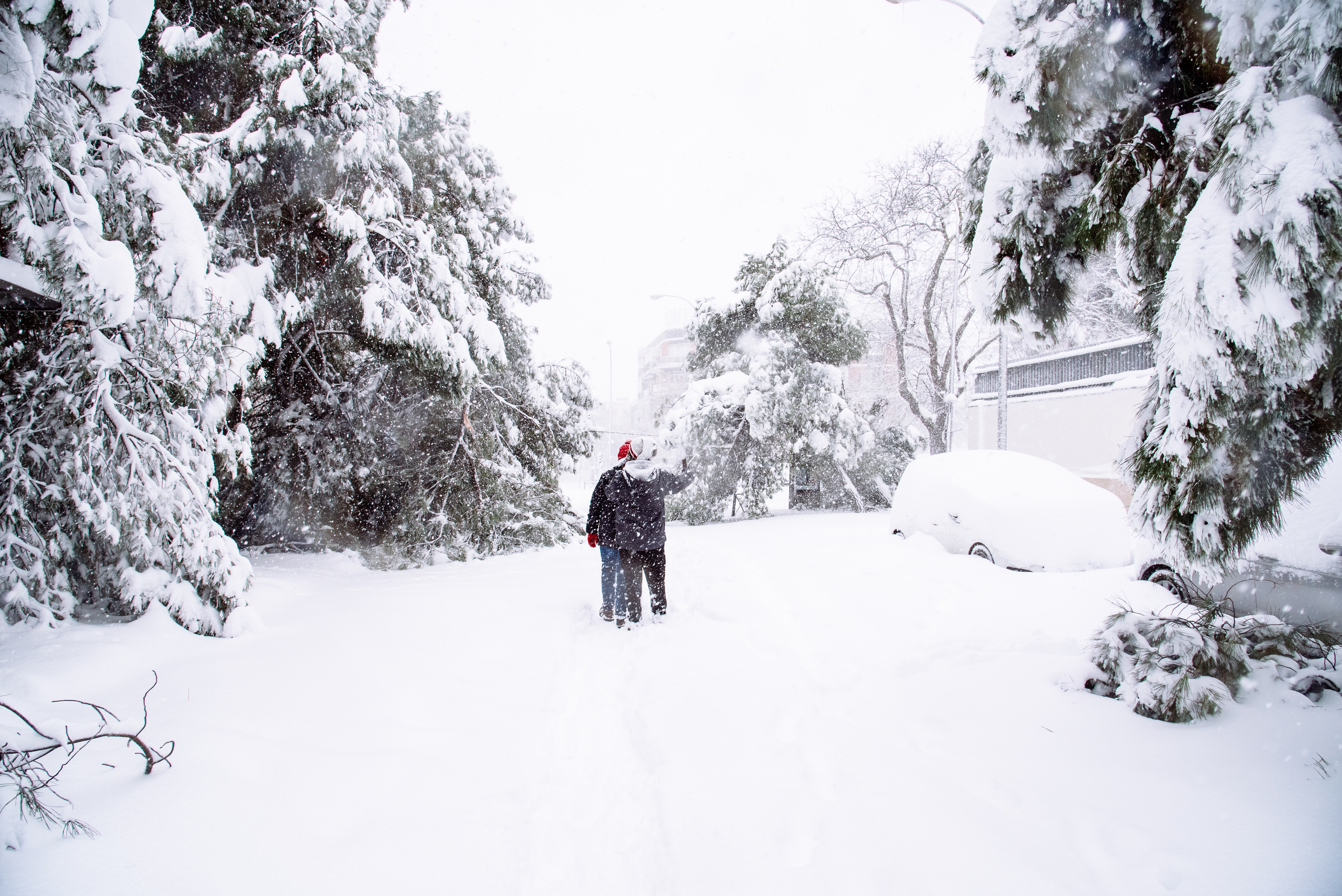 looking for someone in the snow