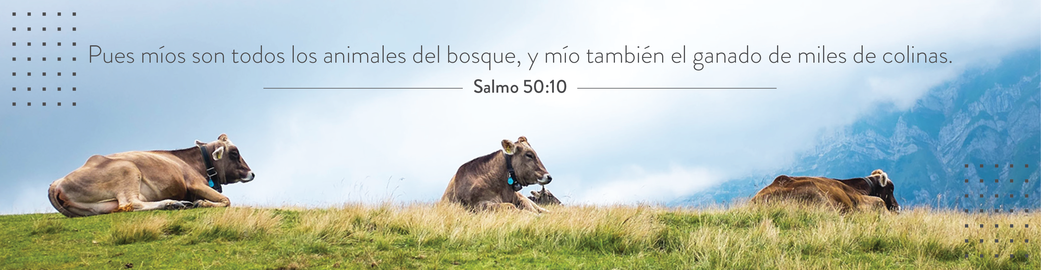 https://dzuws136.nazarene.org/sites/default/files/revslider/image/WebsiteBanner_CR_ES-01.png