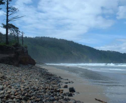 Cape Lookout state park Oregon