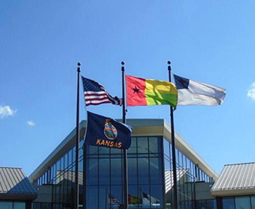 Guinea-Bissau Flag