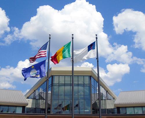 Mali Flag