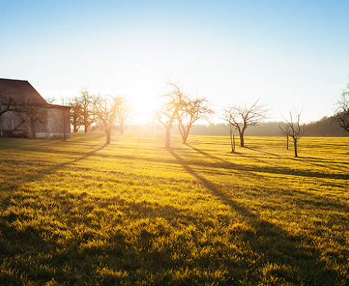 Farm Sunrise