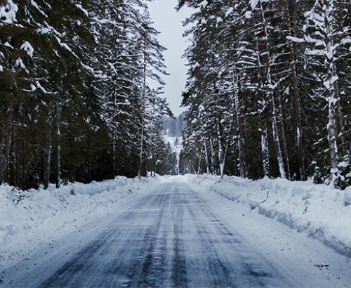 Winter Road