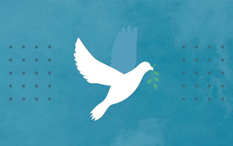 Peace Dove