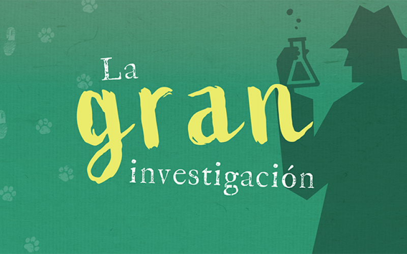 La gran Investigación