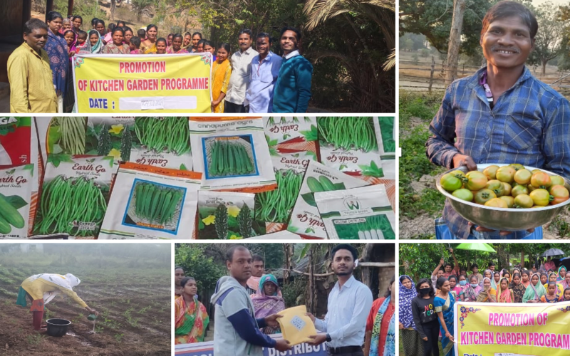 Kitchen Garden Project in India