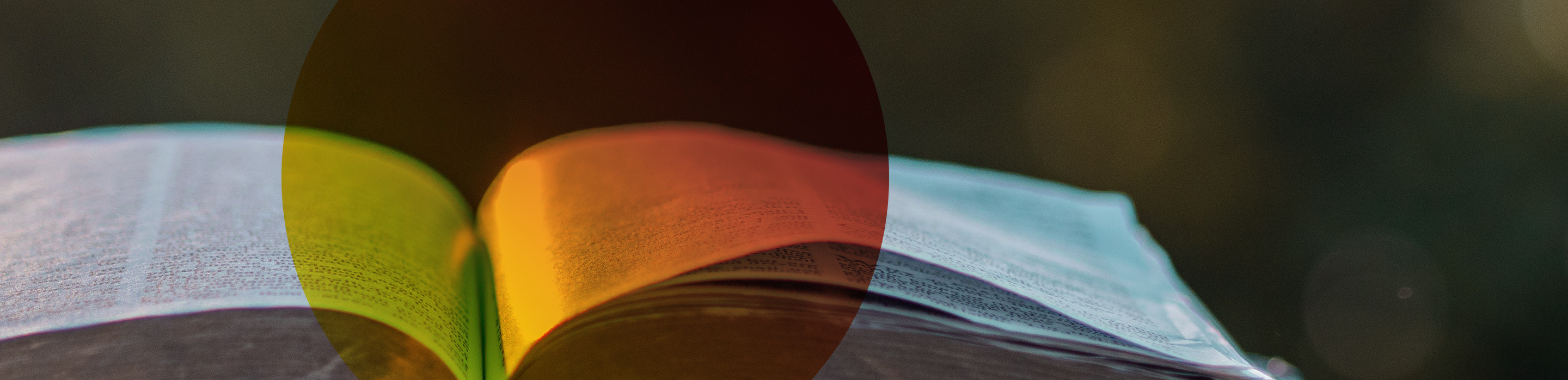 A open book laying flat with a transparent red circle overlaying it