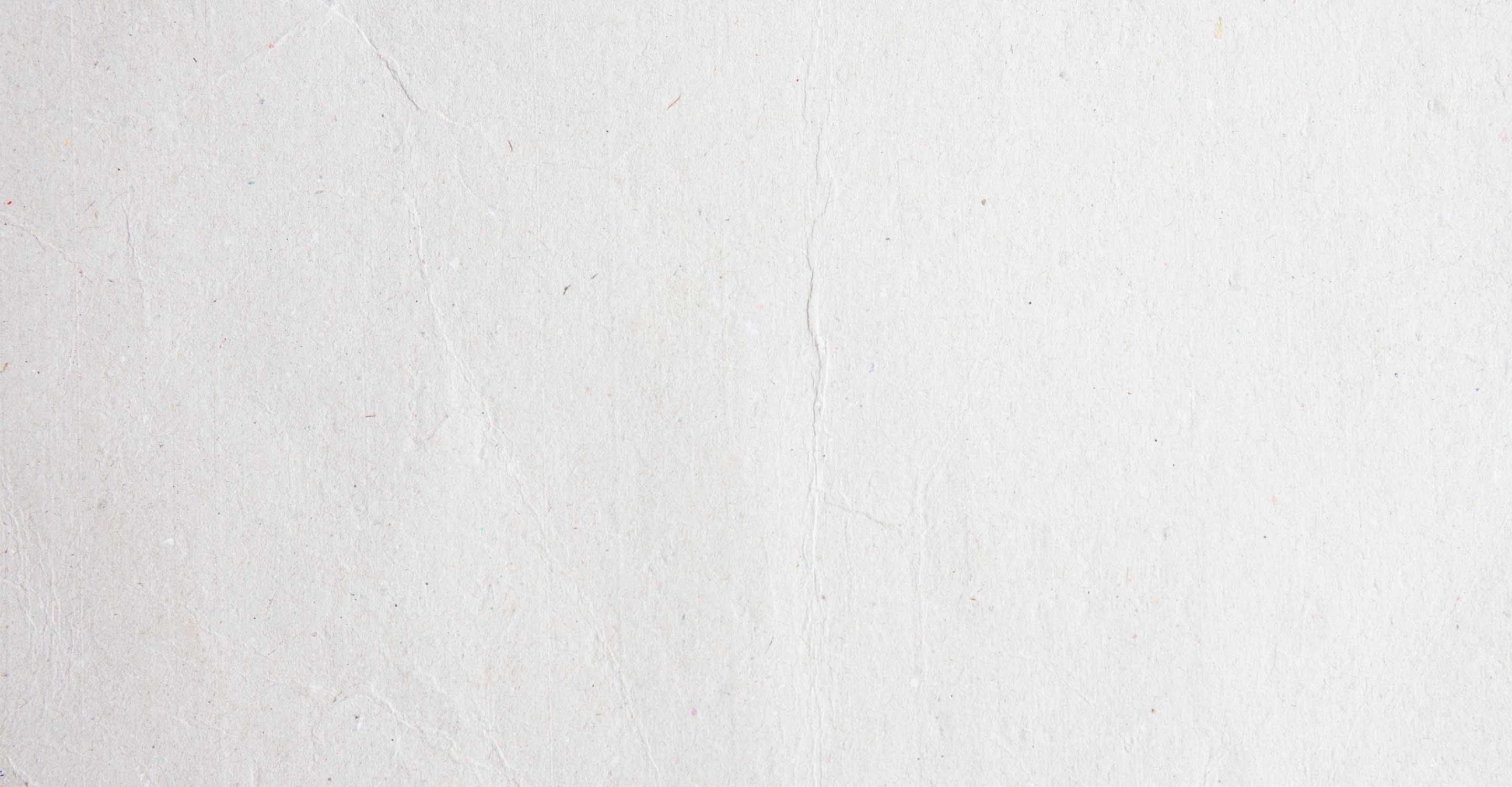 top-banner-bgv2