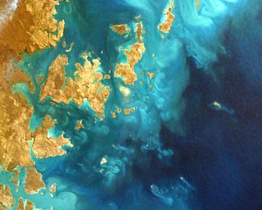 map_bg_mobile