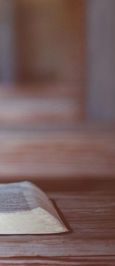 middle-bg-banner_mobile