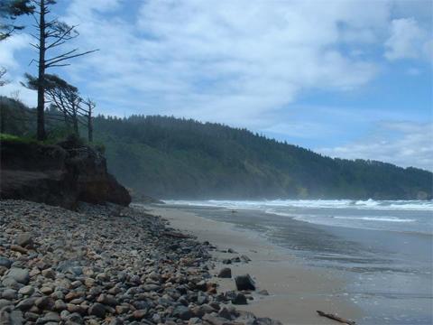 Cape Lookout state park Oregon