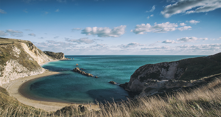 Ocean Overlook