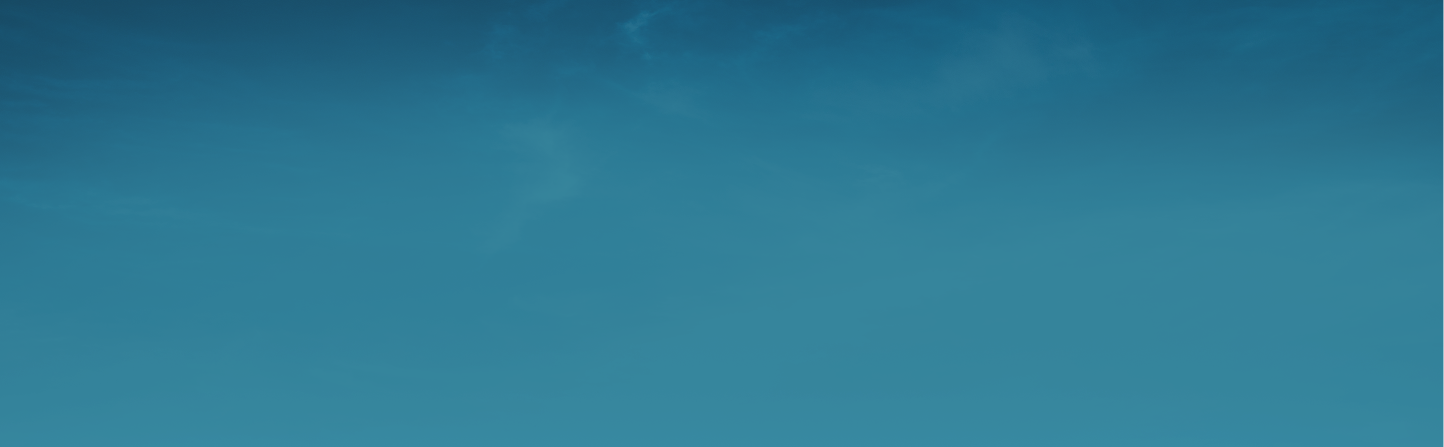 Top1 background