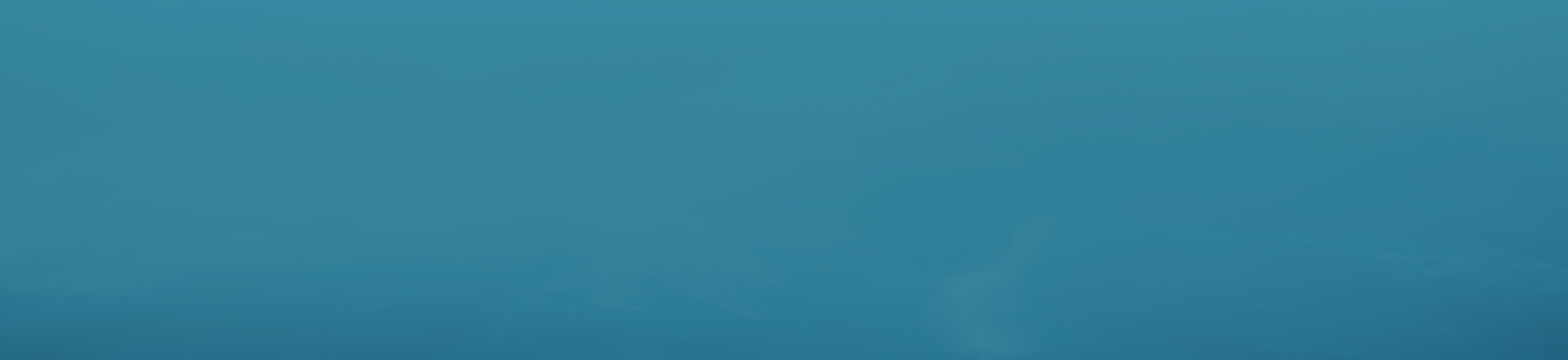 Top2 background