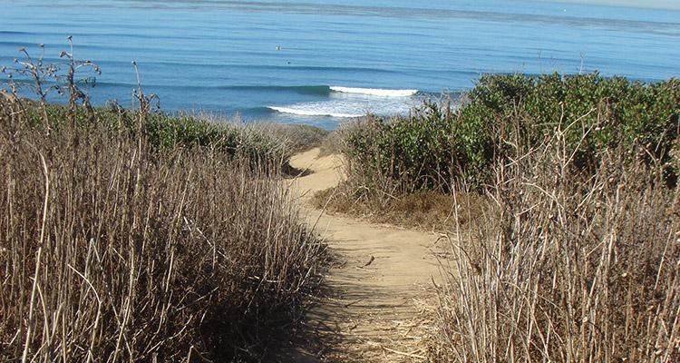 Beach path